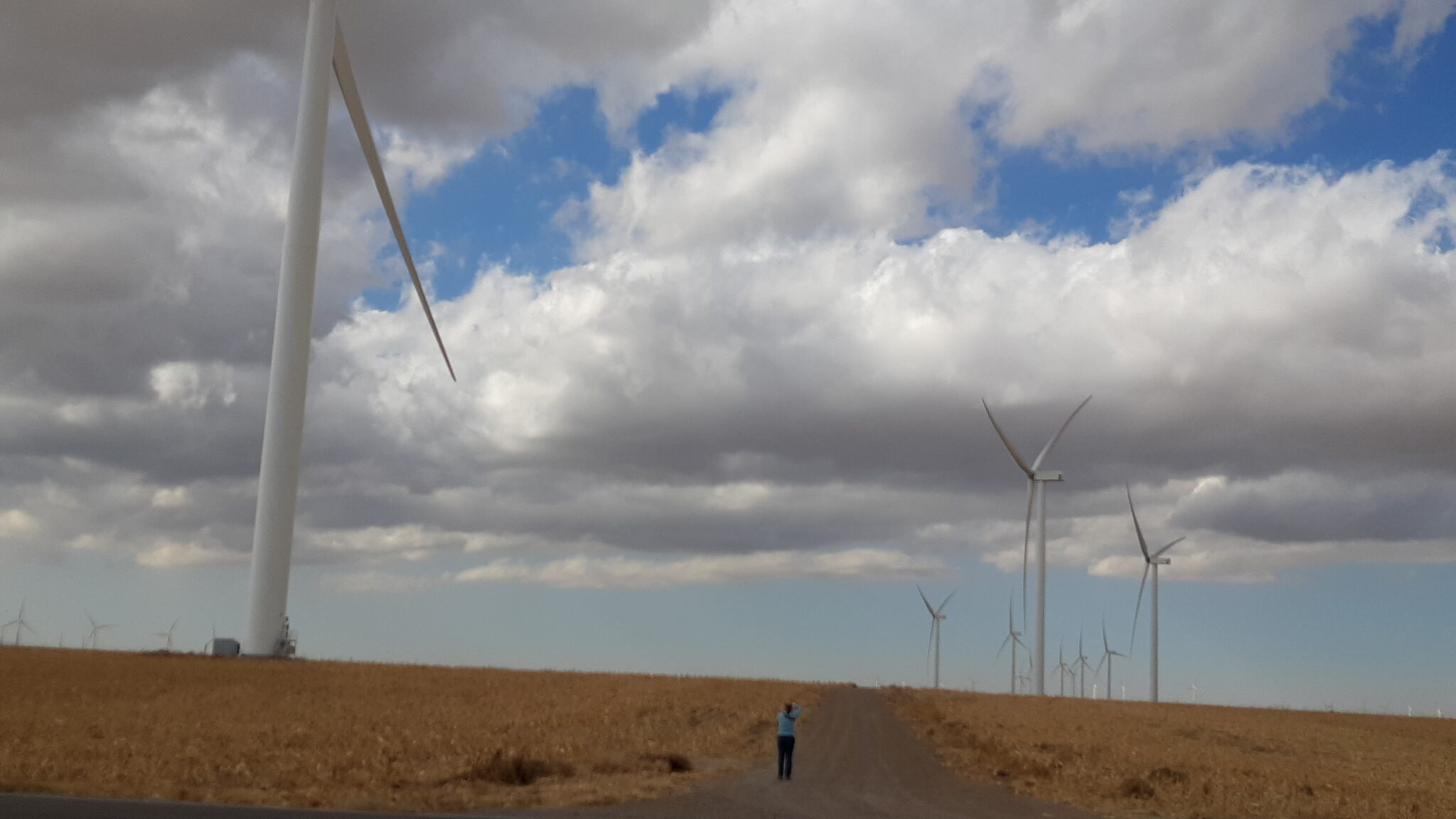 'This is punitive': Kansas Senate committee considers poison pill wind energy bills – The Lawrence Times - Vimarsana News