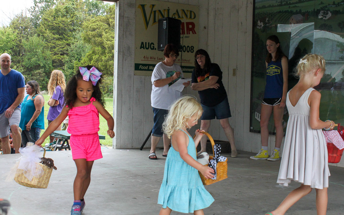 Vinland Fair to return with free, old-fashioned fun - Vimarsana News