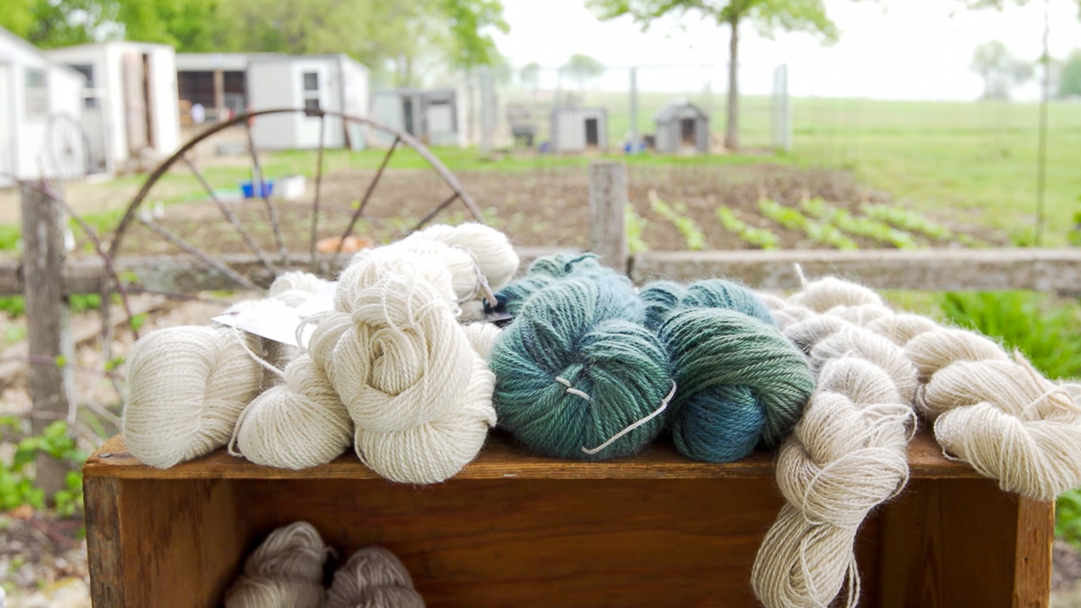 Douglas County Spring Farm Day See where our foods and fibers come