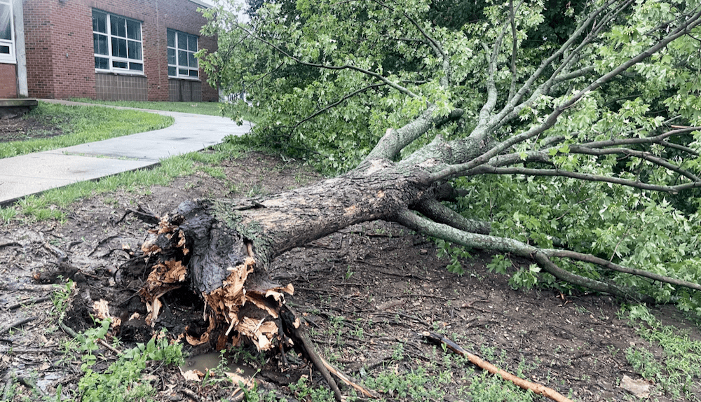 Clay Wirestone: A powerful storm sledgehammered northeast Kansas. Amidst the chaos, I spotted lessons for us all. (Column) - Vimarsana News