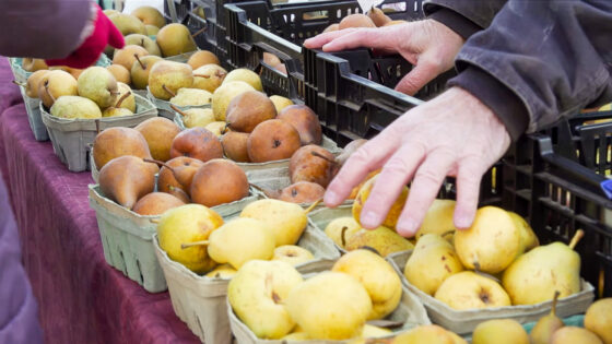 Douglas County food security advocates working on emergency plan for SNAP beneficiaries; here are some resources