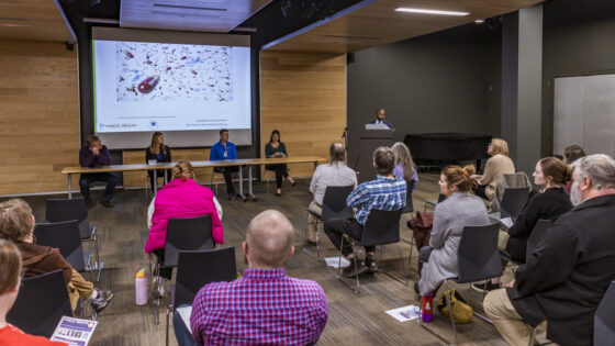 Next Public Health After Dark will focus on birth outcomes and inequities