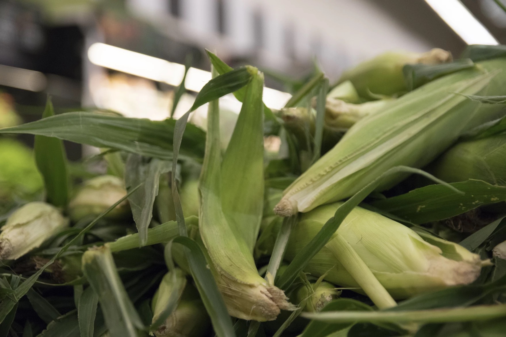 These ethanol plants want to bury CO2 in Kansas to cut their carbon footprints - Vimarsana News