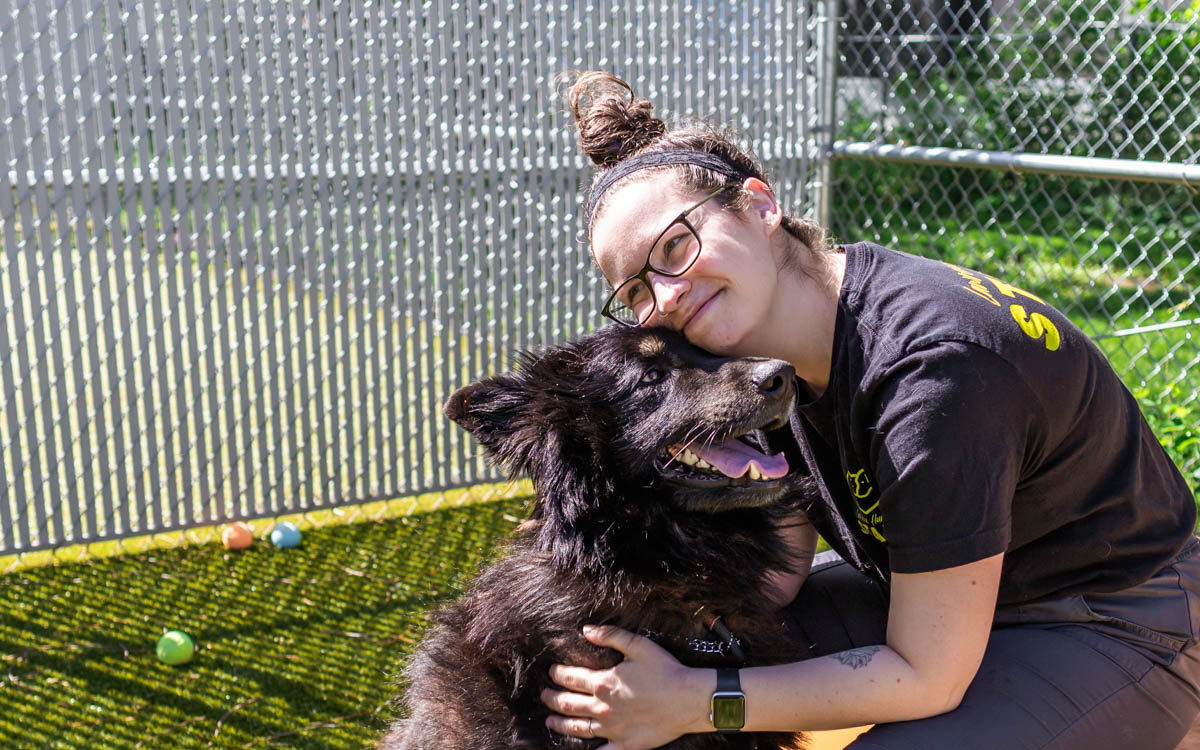 Shelter director envisions a bright future for Nash the dog – The Lawrence Times