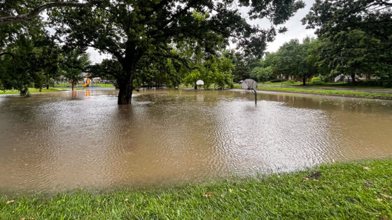 City of Lawrence will remove Watson Park basketball court, prone to flooding, this summer