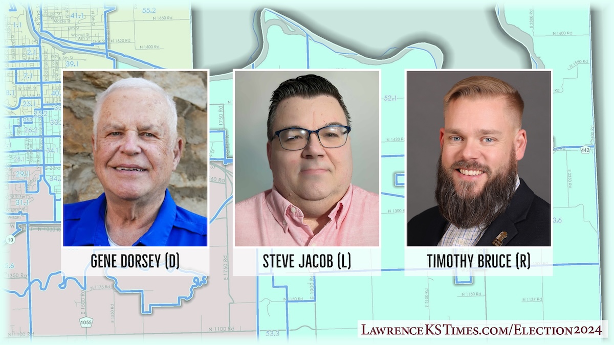 Meet the candidates for Douglas County Commission District 4 The