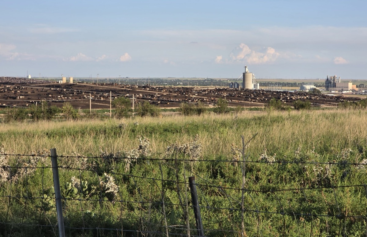 ‘We don’t shut down’: Kansas ag leaders tell Congress to get back to work