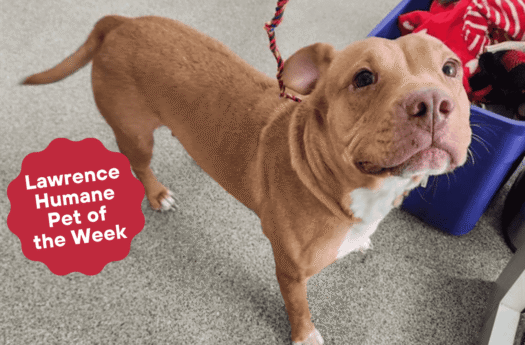 Mama Eanid known to dote on mammalian tots, fuzzy or not