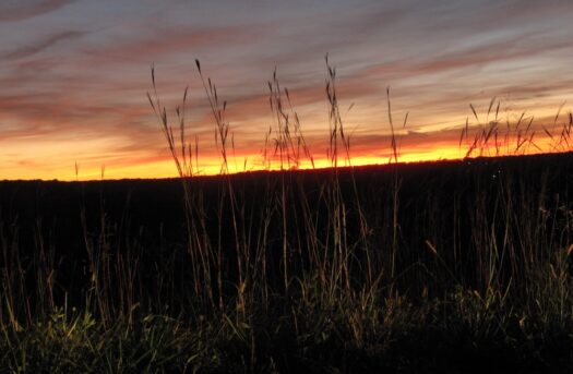 Kaw Valley Almanac for Oct. 27 – Nov. 2, 2025