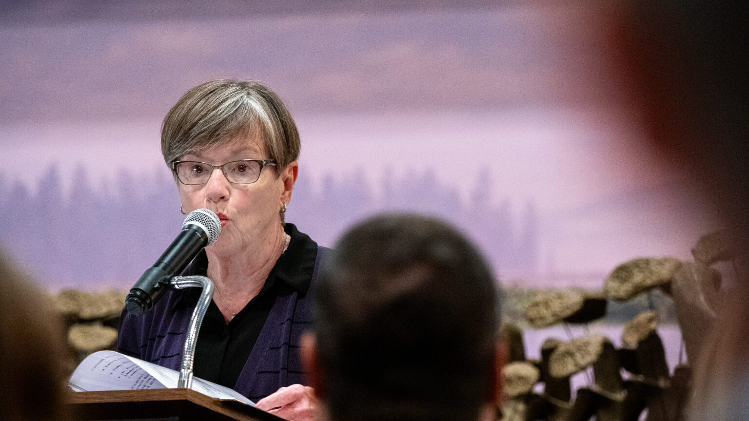 Kansas Speaks survey shows ‘lots of daylight’ between views on issues and political support