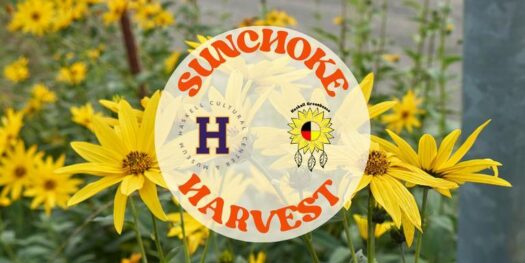 Haskell Greenhouse invites community to harvest sunchokes, join soup workshop