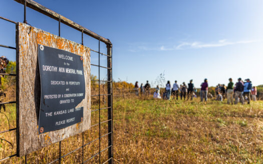 Workshop attendees dispel notions of man vs. nature during visit to remnant prairie in Douglas County