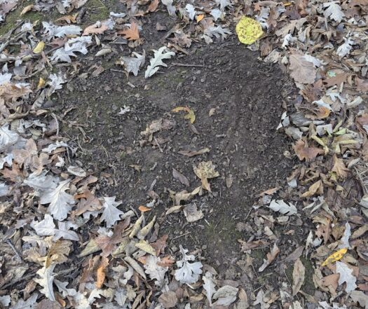 Kaw Valley Almanac for Nov. 3-9, 2025