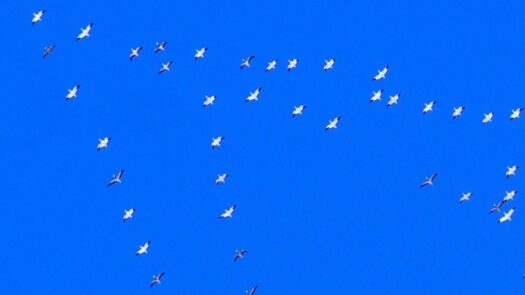 Kaw Valley Almanac for Dec. 1-7, 2025