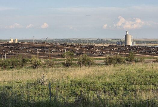 USDA prepares to reveal relief plan that could help Kansas farmers facing uncertainty
