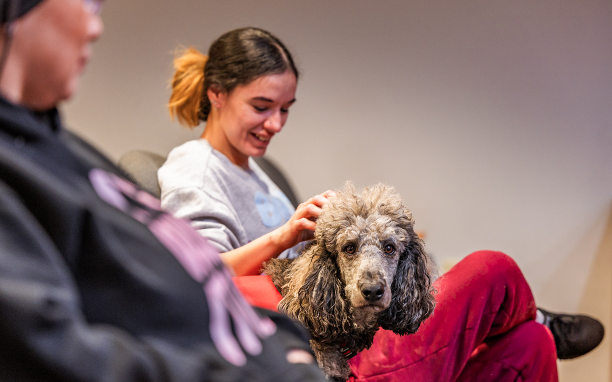 Loving Paws therapy dogs provide a fuzzy shoulder to lean on