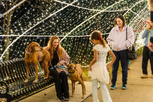 Holiday sights and lights in Lawrence – 2025 edition