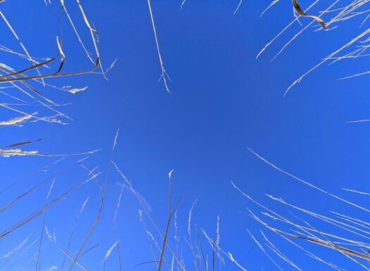 Kaw Valley Almanac for Dec. 15-21, 2025