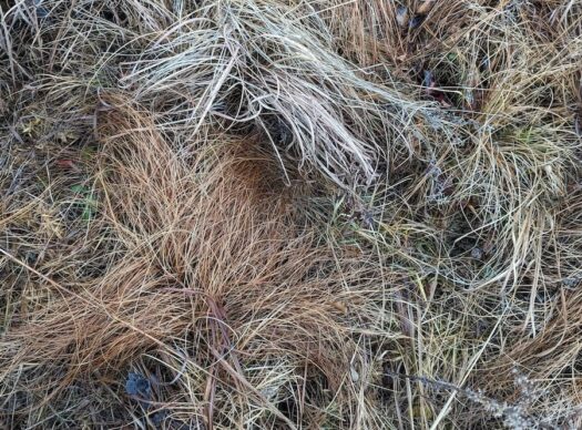 Kaw Valley Almanac for Dec. 8-14, 2025