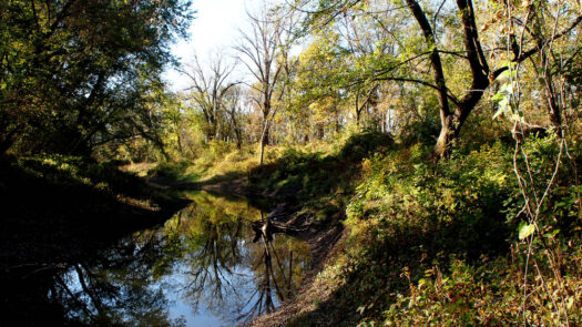  Wakarusa River Valley is a key wildlife corridor