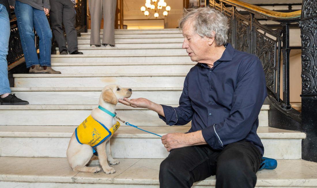 Here’s a sneak peek at Runner, service-dog-in-training and future Watkins Museum volunteer