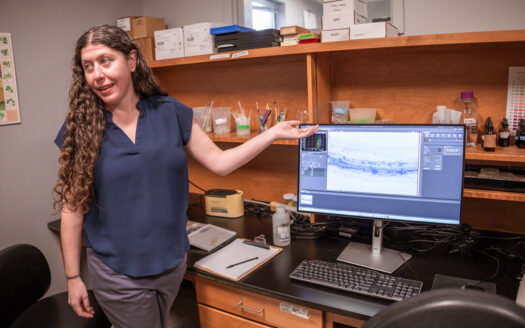 KU’s living library of fungi, key to restoration and sustainability, threatened by shrinking federal funds