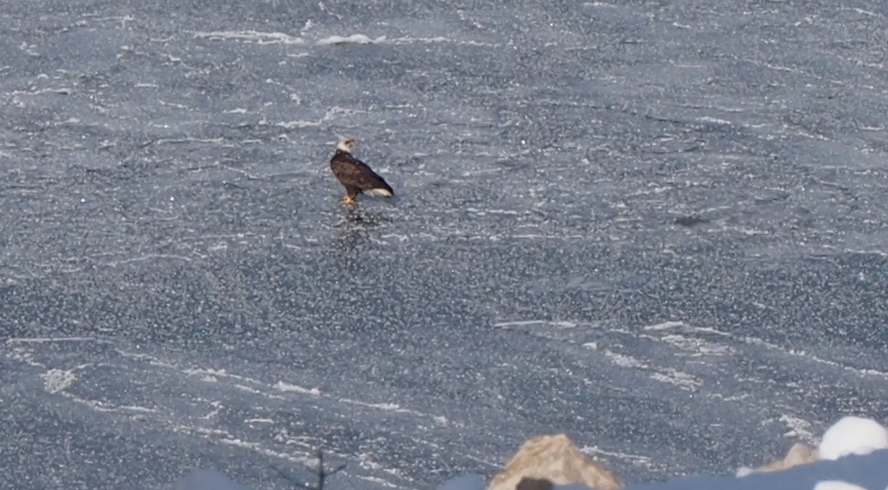 Kaw Valley Almanac for Jan. 19-25, 2026