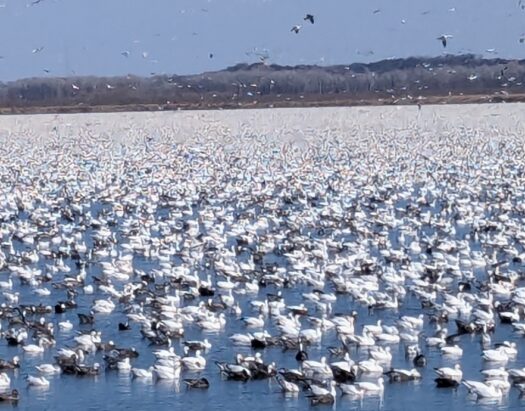 Kaw Valley Almanac for March 2-8, 2026