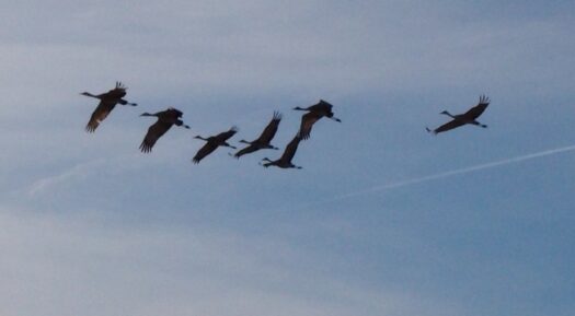 Kaw Valley Almanac for March 9-15, 2026