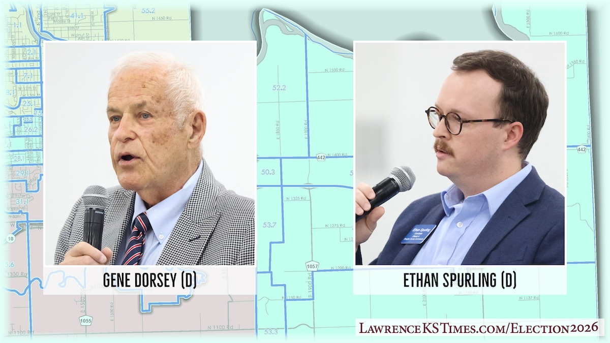 Meet the candidates running for Douglas County Commission District 4 ...