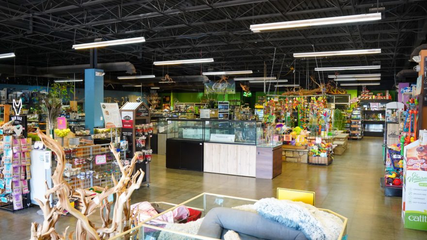 Pet World to close its 23rd and Louisiana location; new warehouse to ...