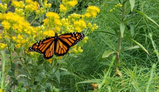 Kaw Valley Almanac for Sept. 7–13, 2026