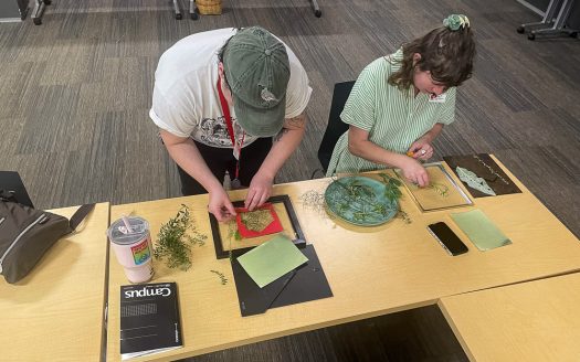 Use native plants to create, alter ‘sun prints’ at these workshops in Douglas County